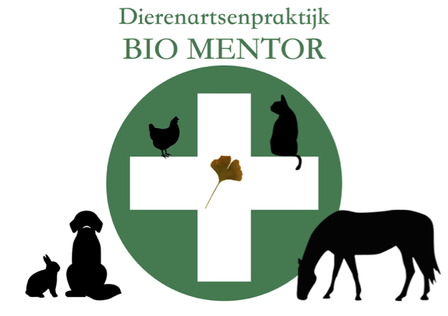DAP Bio Mentor
